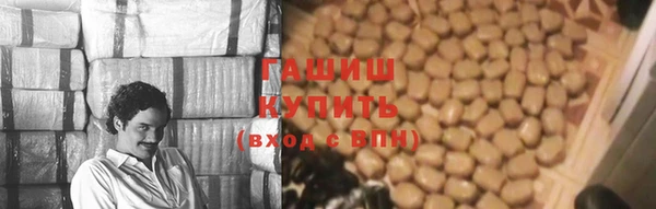 стаф Абаза