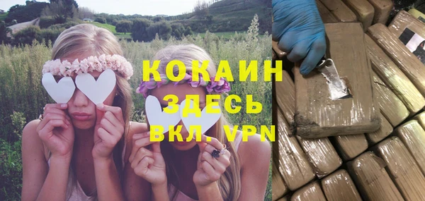 стаф Абаза