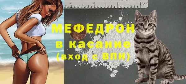 стаф Абаза