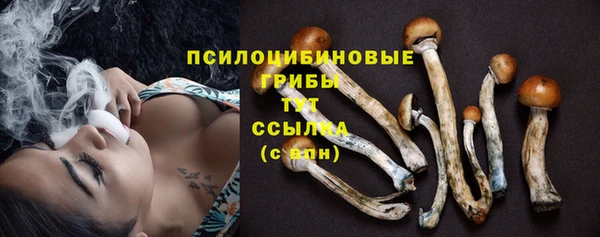 амф Абинск