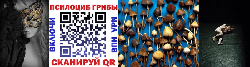 наркотики  Алейск  Псилоцибиновые грибы мицелий 