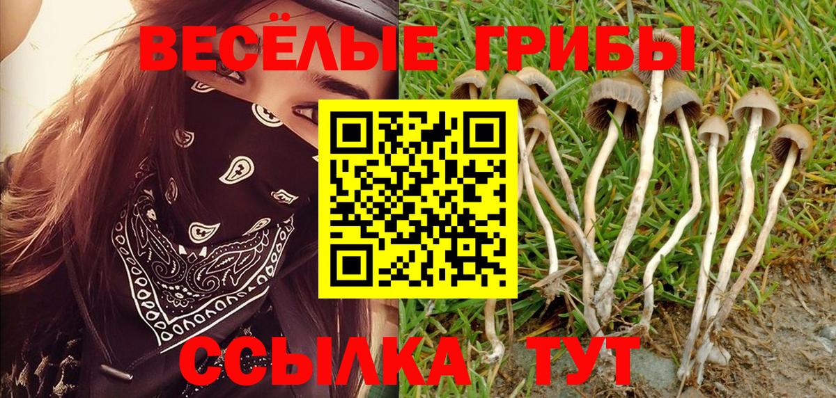 Галлюциногенные грибы Cubensis  Вход с VPN  Галлюциногенные грибы Psilocybe  где найти наркотики  Алейск 
