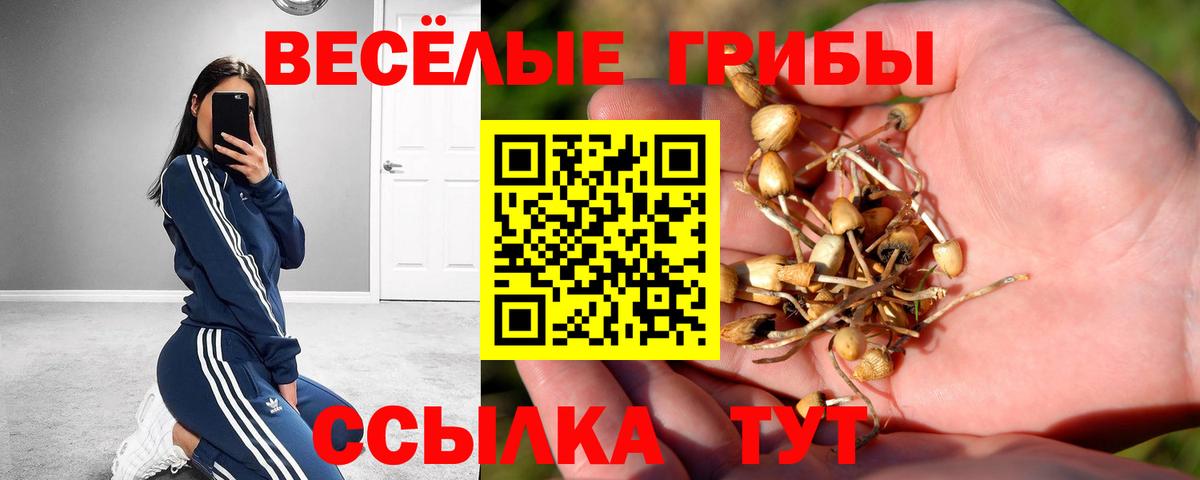 Псилоцибиновые грибы GOLDEN TEACHER Алейск