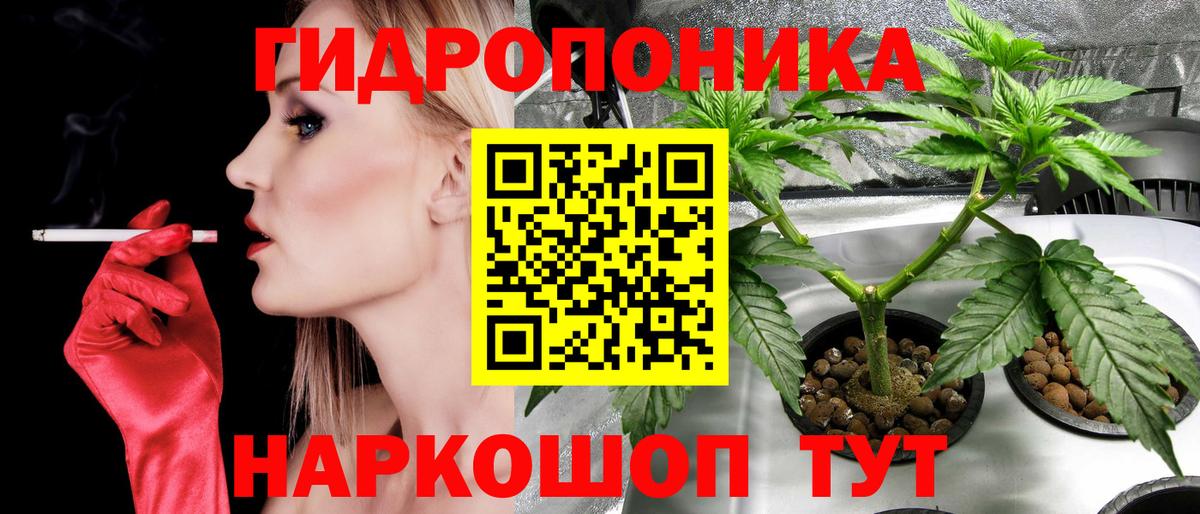 Марихуана индика  Бошки марихуана LSD WEED  Канабис сатива  Вход с VPN  Марихуана OG Kush  Алейск 